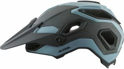 Alpina Rootage -Fahrradhelme Elegant magasin az 0197127 2182 2 49d96d6c 763d 4168 af9c 8bb89bb6320e