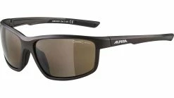 Alpina Defey Fahrradbrille